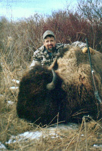 .408 diameter rifle buffalo
