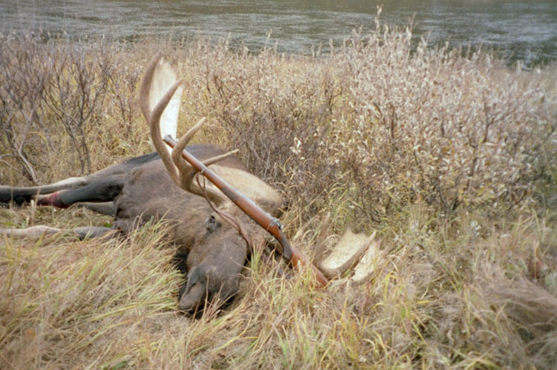 9mm .353 .354 .356 diameter moose